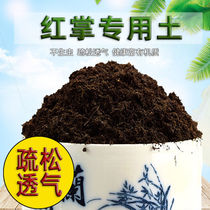 Red Palm soil white palm special soil acid soft nutrient soil household indoor flower Earth coconut Bran mud carbon soil planting fertilizer