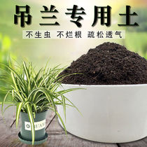 Special soil for hanging orchid orchid soil nutrient soil breathable flower planting soil general flower soil organic fertilizer