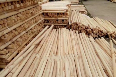 Cây cột bộ giữ đường phố nhựa đặt cốc cung cấp cây khung khung hỗ trợ khung bảo vệ khung khung cây ở lại - Nguồn cung cấp vườn vòi xịt nước tưới cây