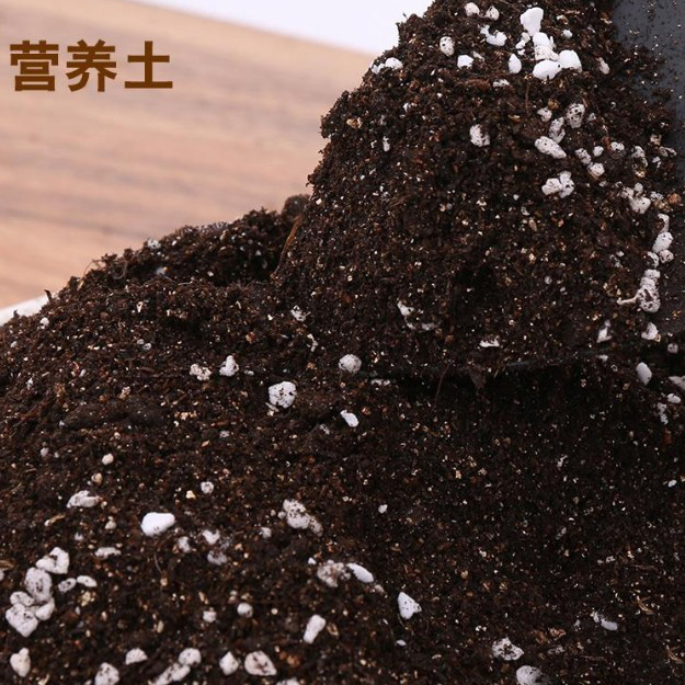 Home Flower Fats Multi-meat Special earccoli Plane Soil Flowers Clay Soil Flower Soil Nourishing and Flower General