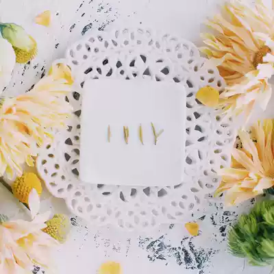 10 bubbles Suzhou Dongshan local old tree head stubble flower fruit fragrance Premium Mingqian Dongting Biluochun green Tea cold brew extract