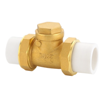 4 minutes 6 minutes 1 inch full copper horizontal check valve 20 25PPR union water meter one-way valve tap water accessories 3143