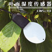 Foliar humidity sensor Leaf temperature sensor Leaf humidity sensor simulates leaves