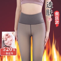 Air Brother-in-law Integrated Skin Pants Plus Suede Thickened Spanked Bottom Pants Woman Autumn Winter Fake Overdraft Outside Wearing Winter Extra-thick Pantyhose Socks