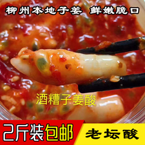 Guangxi Liuzhou specialty farmers sour ginger old altar chop red pepper Pickles sour and spicy tender ginger 2kg bags
