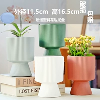 Четыре среднего размера белый, серый, красный и зеленый (поднос доставки)