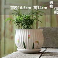 Один большой лист порошкового порошка