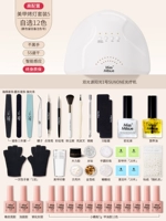 Высокая конфигурация [Набор 5] (выбран 12 цветов) (12 цветов)