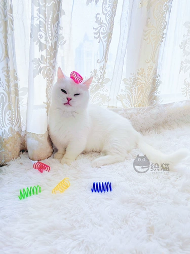 Один вязаный цвет кошки весенняя бомба музыкальная игрушка, чтобы кошки играли сумасшедшие нечистые интерактивные артефакты