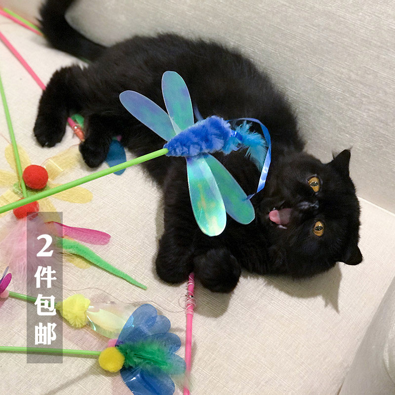 Amy carol export insect teasing stick dragonfly butterfly pet cat toy sequin ring paper colorful pastoral