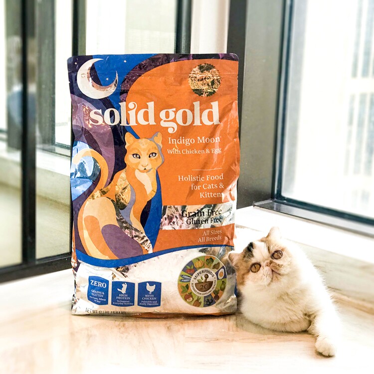 SolidGold vegetarian power high gold loaded without glukinin full cat food for young cat staple food 12 lbs spot anti-fake