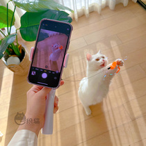 A weaver cat selfies with a cat stick with a stabilizer side to shoot the cat selfiy bar toy