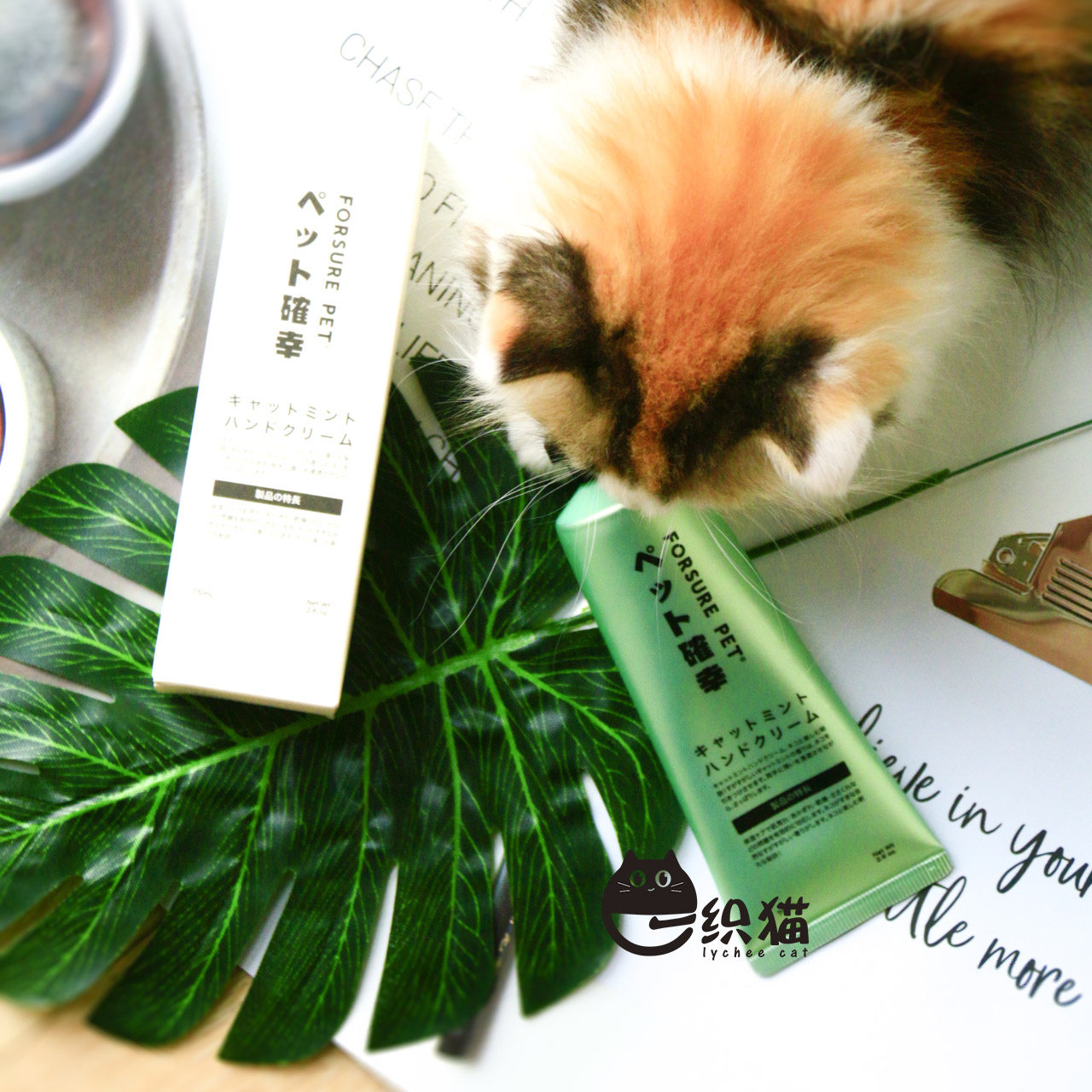 Japan's darling cat mint man with hand cream 75ml clear scent of cat to suck up cat physique and cat deity