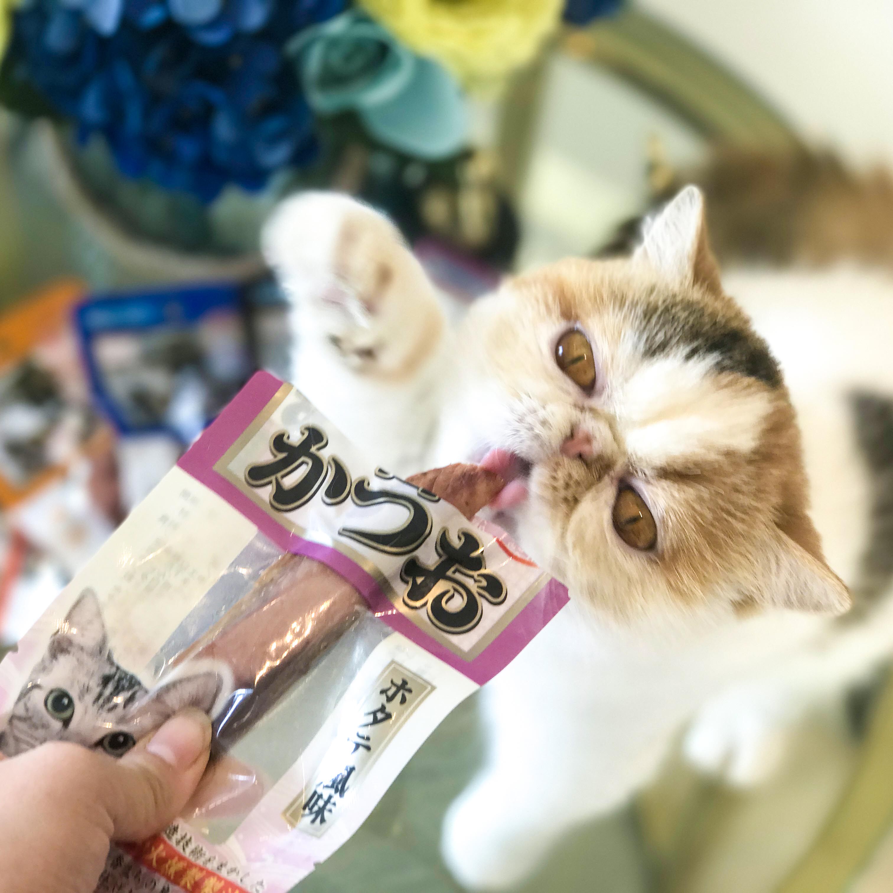 Japanese bonito festival legend Yifan bonito strips Chicken strips Cat snacks Six kinds of mixed 22g*24 packs