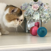 Cat LED flash rolling ball cat toy glowing ball into cat Kitty toy laser laser cat stick