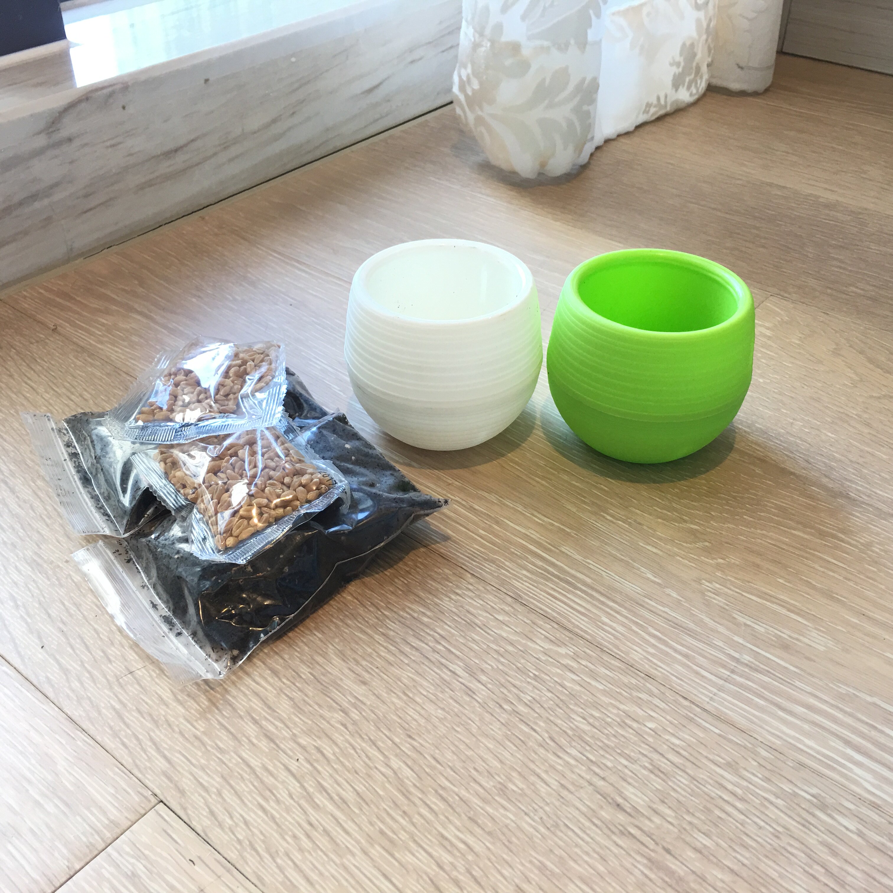 One Weaver Cat Candy Cat Grass Suit Cat Grass Seed Conditioning Gut to Gross Ball Cat Snacks Hand Mutil