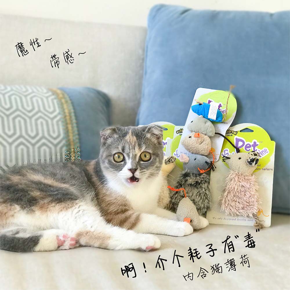 Meritocratic cat house replacement mint kitty small rat Puzzle Fun Suede Toy Cat with pillow washable no.