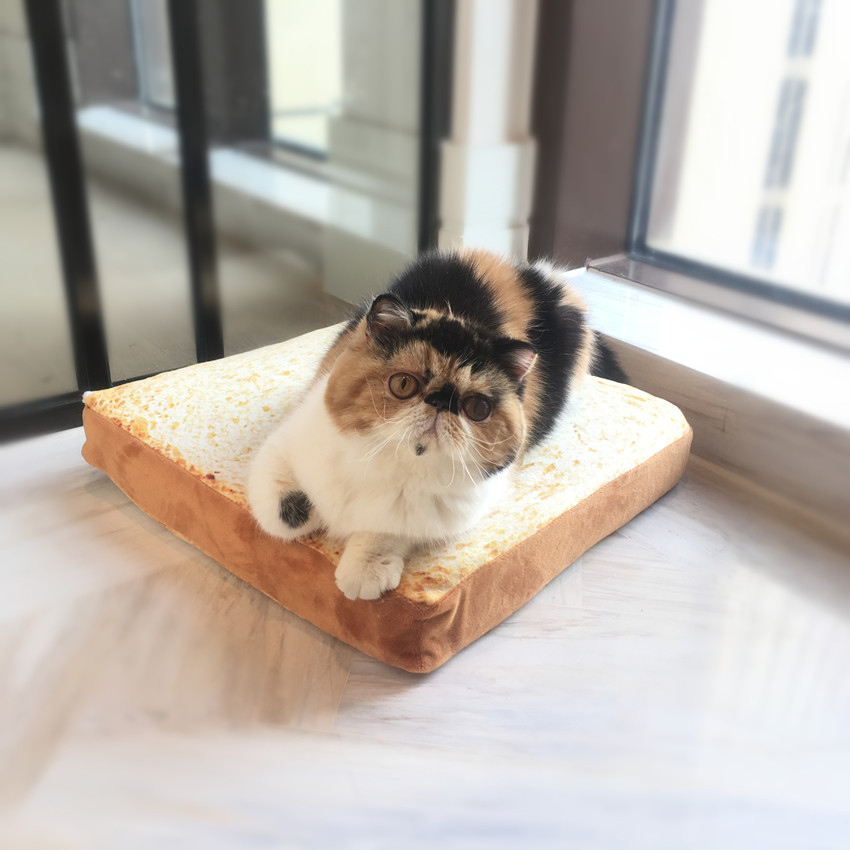 One-woven cat bread pet pad creative slice toast moulded cushion bread pad cat socket dog socket