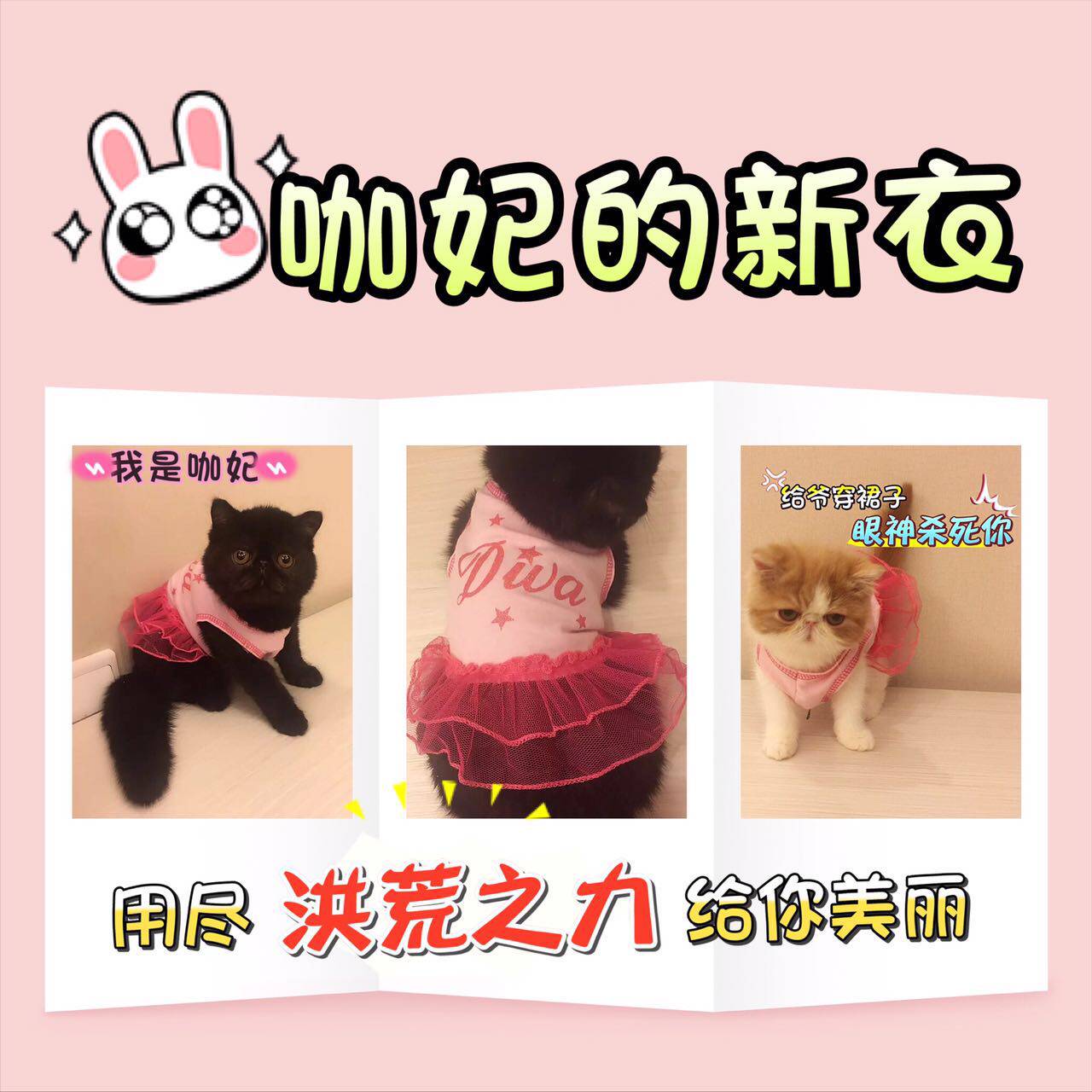 Popular Original Single Beautiful Cattery-Cat Vest Dog Clothes Cat Dog Universal Cat Clothes Grooming Clothes Dress Up