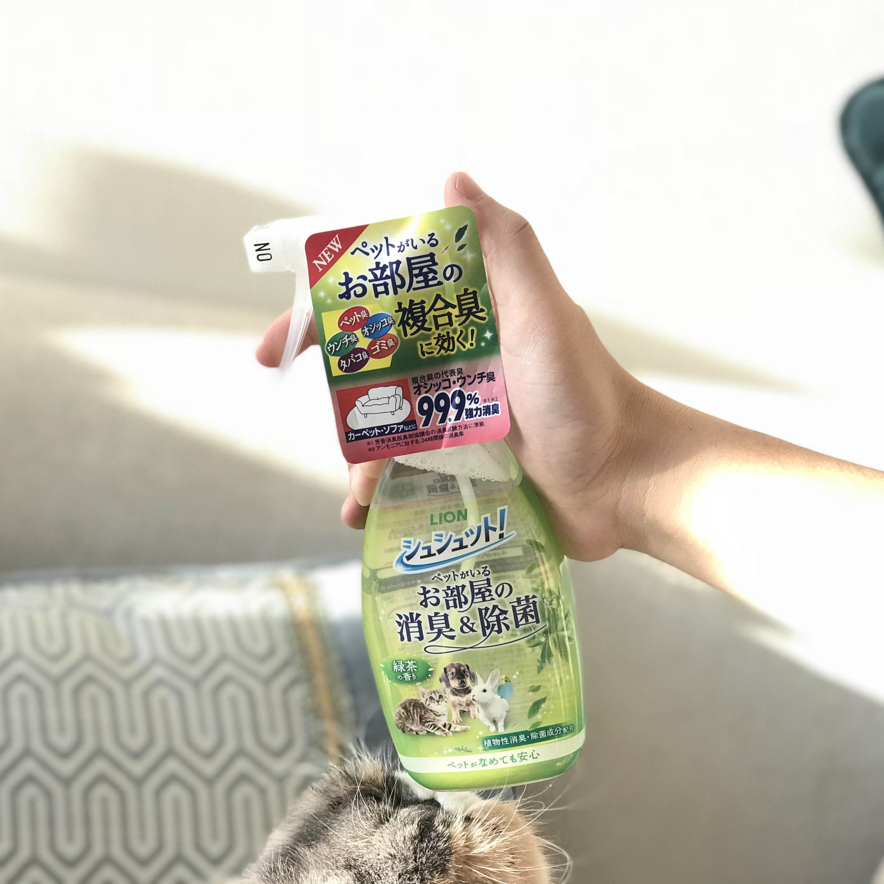 LION Ai Chong Japanese Lion King Pet General House Deodorant Spray Antibacterial and Deodorant Three Fragrance 350ml