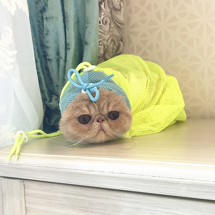 Kitten Bag Cat Bathing Cat Bag Pet Multifunction Anti-Catch Cat Cat Cut Fingernail Fixing Bag