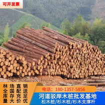 Fir log piles outdoor river revetment pine log piles landscaping seedlings tree planting poles larch wood piles