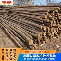 Fir wood piles with bark river bank slope protection pine wood piling wood civil construction foundation reinforcement wood piles garden ecological fence wood piles