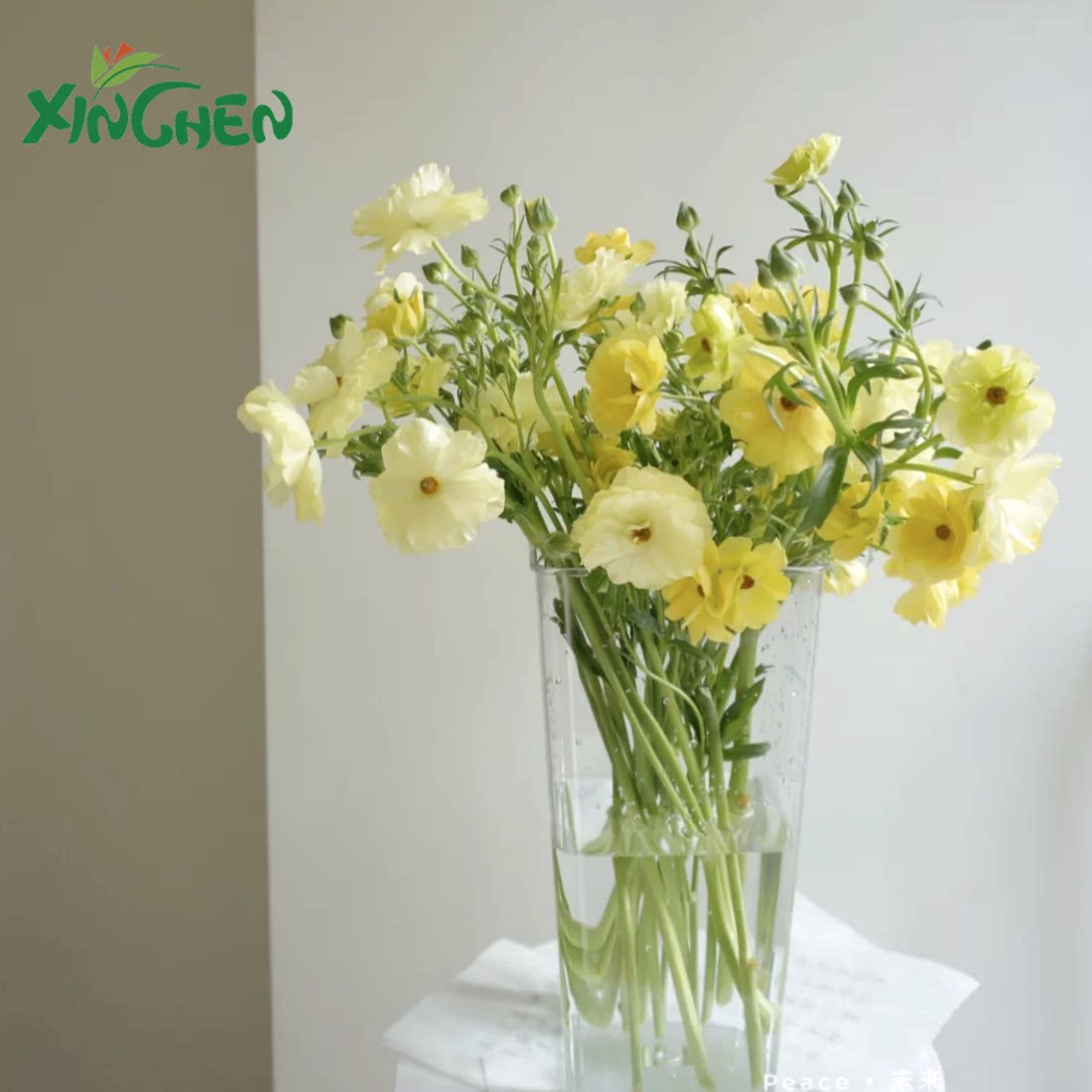 The fall does not suck the new high draft Imitation Acrylic Flower Barrel High-definition Plastic Raised Flower Vase Flower Vase Furnishing