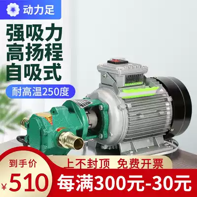 Gear pump Small high viscosity 220V large flow self-priming diesel edible oil Stainless steel electric hydraulic oil pump