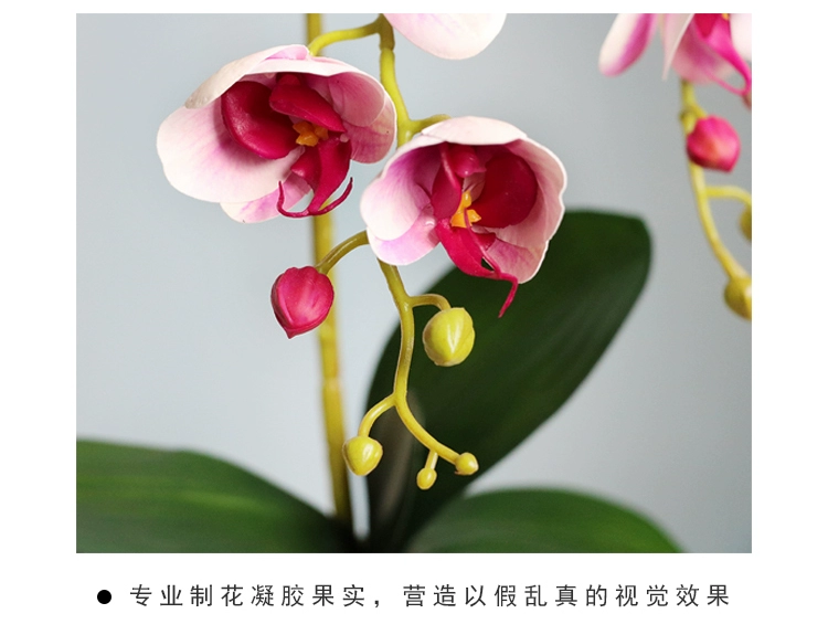 giả hạc hoa hồng đỏ Người nổi tiếng trên Internet Phalaenopsis nhân tạo đồ trang trí hoa hoa bàn phòng khách cắm hoa trong nhà hoa giả chậu cây cắm hoa trang trí chậu hoa lan giả cây lá phong giả