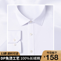 Cotton long sleeve white shirt male spring and autumn business dress cotton DP garment non-iron stripe short sleeve plaid shirt