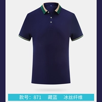 Тибетская модель 871