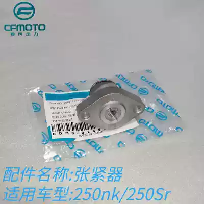 Chunfeng Motor 250NK 250SR tensioner Original accessories Engine small chain tensioner assembly