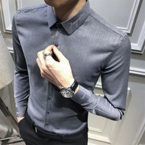 Rich bird long-sleeved shirt mens Korean slim casual shirt Light luxury business formal free ironing high-end mens fashion