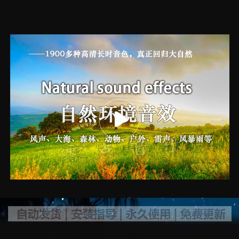 one thousand Environment Voice Natural SoundSound Sound material Large waves Wind thunderstorm The sound of one thousand species of animals