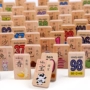100 viên nhập khẩu bạch đàn double-sided số của ký tự Trung Quốc nhận thức khối xây dựng trẻ em của gói giáo dục dominoes mail trên 3 tuổi bộ lego cho bé trai