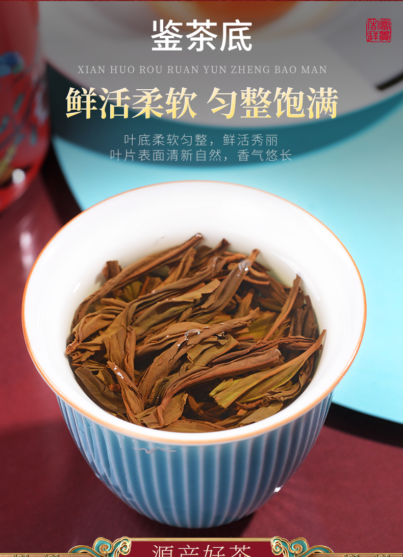 端午节送礼品正山小种红茶茶叶