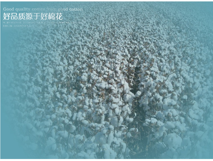 Chaussettes - collants OUTIAI 8962-24 - Ref 760625 Image 18