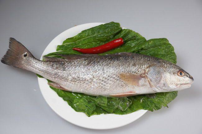 美国红鱼冰鲜,39元一条每条900克(北京市不新鲜无理由退货)