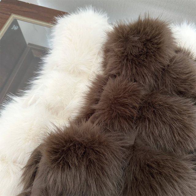 Korean Style Imitation Fox Fur Vest for Women 2025 Autumn and Winter New Style Versatile Patchwork Pu Leather Vest Jacket for Small People