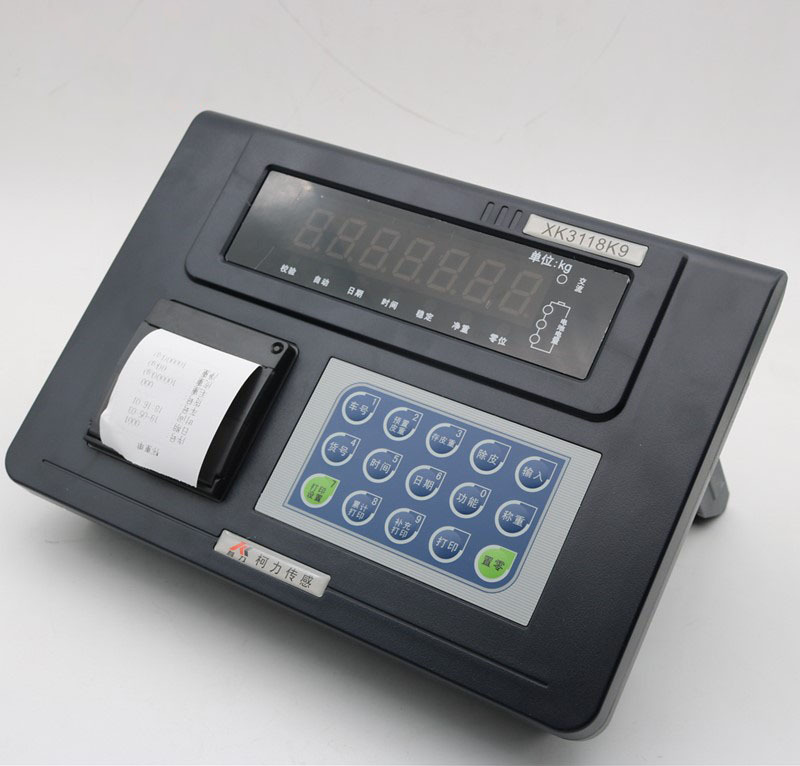 Keli Xk3118K9+P Electronic Floor Scale Truck Scale Weighing Display/Control Instrument with Printing Special Offer Shipping