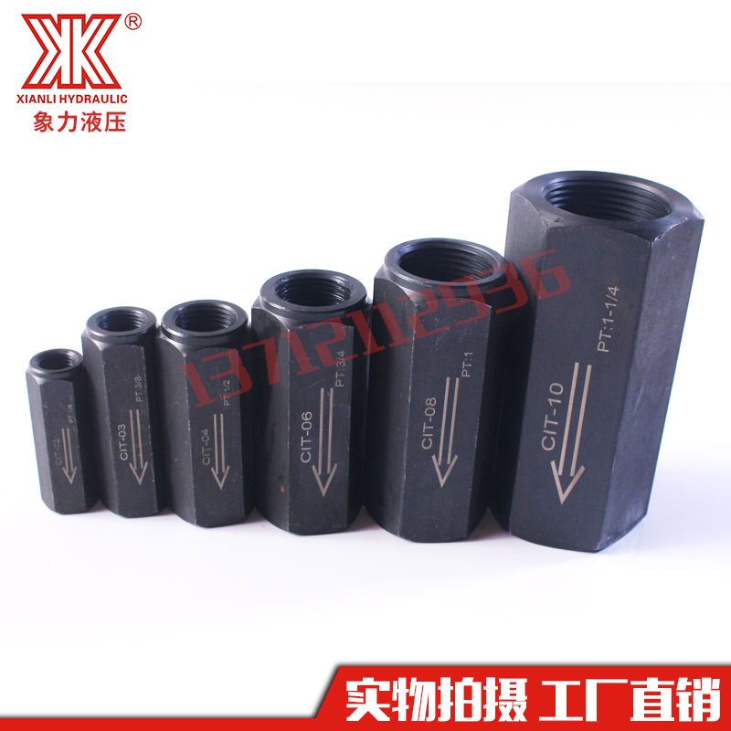 Spot Hydraulic Stop 03 CIT- 03 04 06 08 08 Check Valve Oil Pressure Straight Pipe Type Backstop Valve