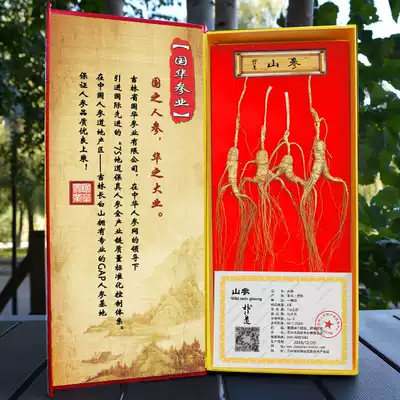 Northeast Changbai Mountain wild mountain ginseng Forest ginseng specialty tonic ginseng gift box raw and dried ginseng Chinese ginseng firm