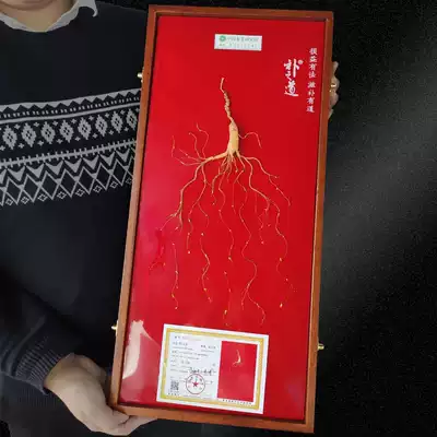 Wild mountain ginseng first-class product gift box Linshan Mountain ginseng Changbai Mountain Ginseng Northeast specialty with certificate Guohua Ginseng industry