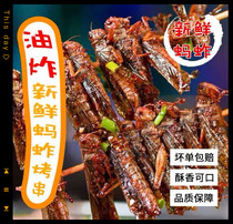 Grasshopper skewers Xiangxi small skewers barbecue ingredients iron plate small kebab fried food fried goods Commercial 20 skewers 3 bags