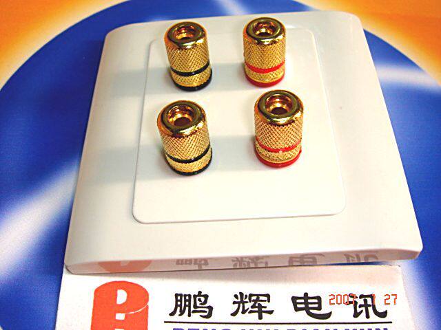 Zhengtai Socket Professional Speaker Banana Socket Wall Intercalation Dual Wire Split Sound Panel (Socket Gilded) 