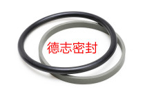 Factory direct NOK standard SPNO sealing ring PTFE sealing PTFE copper powder NBR FKM