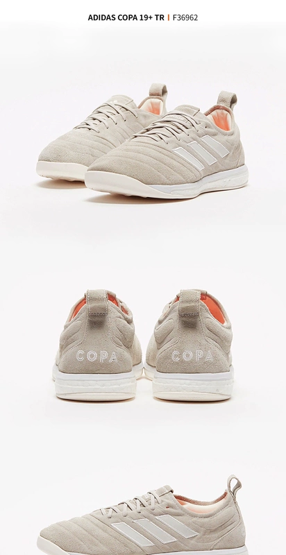 Adidas Adidas COPA 19+ TR đế phẳng trong nhà đào tạo giày bóng đá nam F36962 - Giày bóng đá