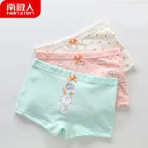 Three pieces of Antarctic girls underwear cotton childrens boxer shorts boxers