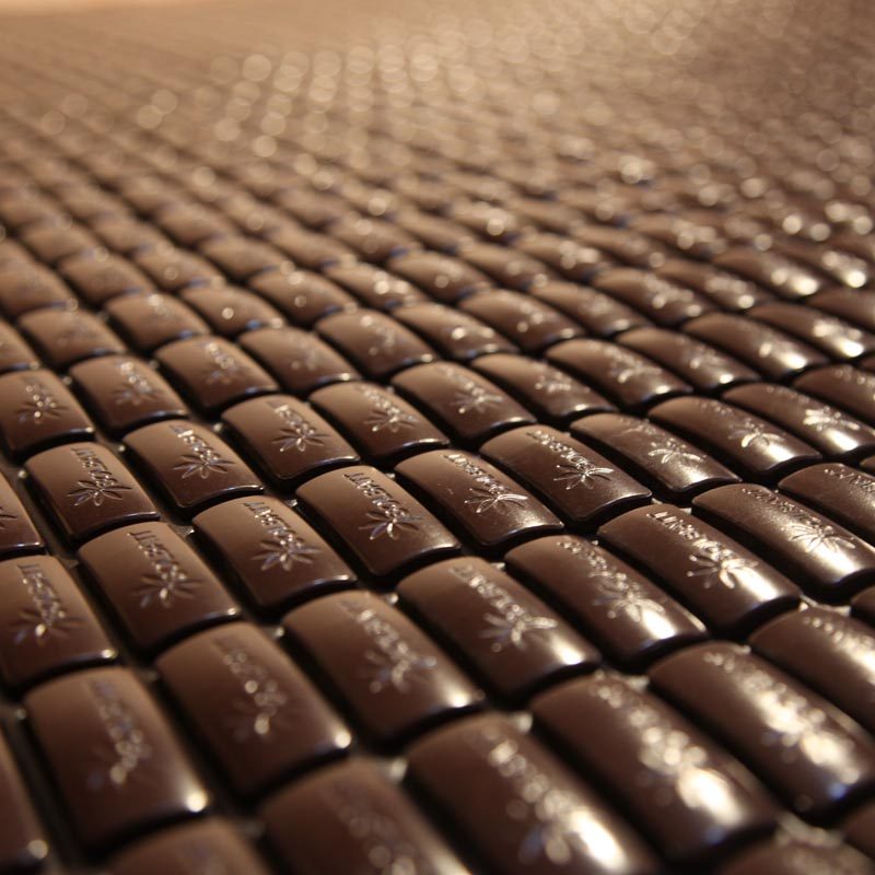 ����������մ���CD-002